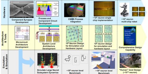 synapse-development-darpa-ibm