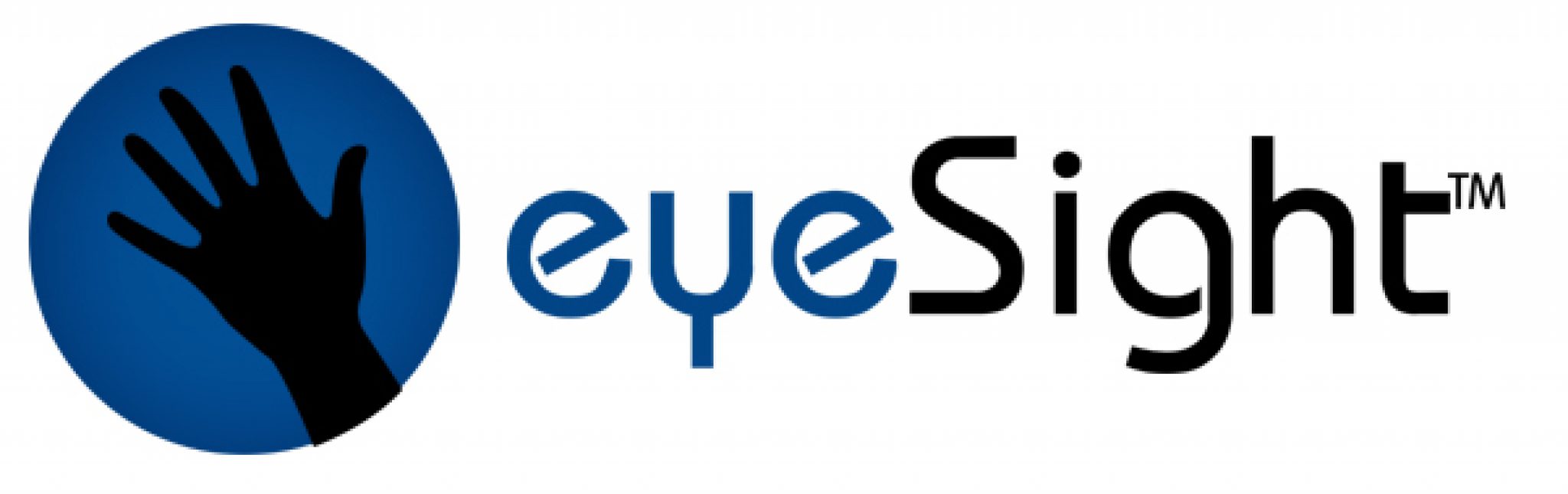 eyeSight: The Embedded Vision Alliance's Latest Member Takes Flight ...