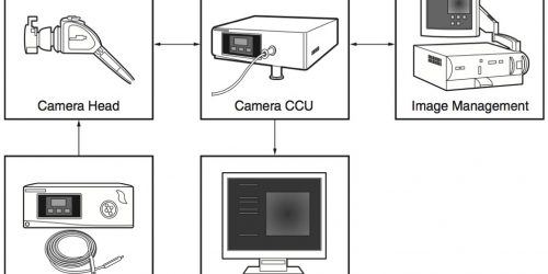 Figure1