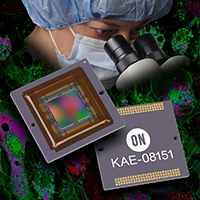 ONSPR2905_KAE08151_LRES