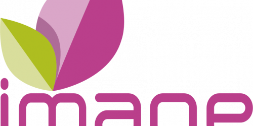 IM-Logo-2017