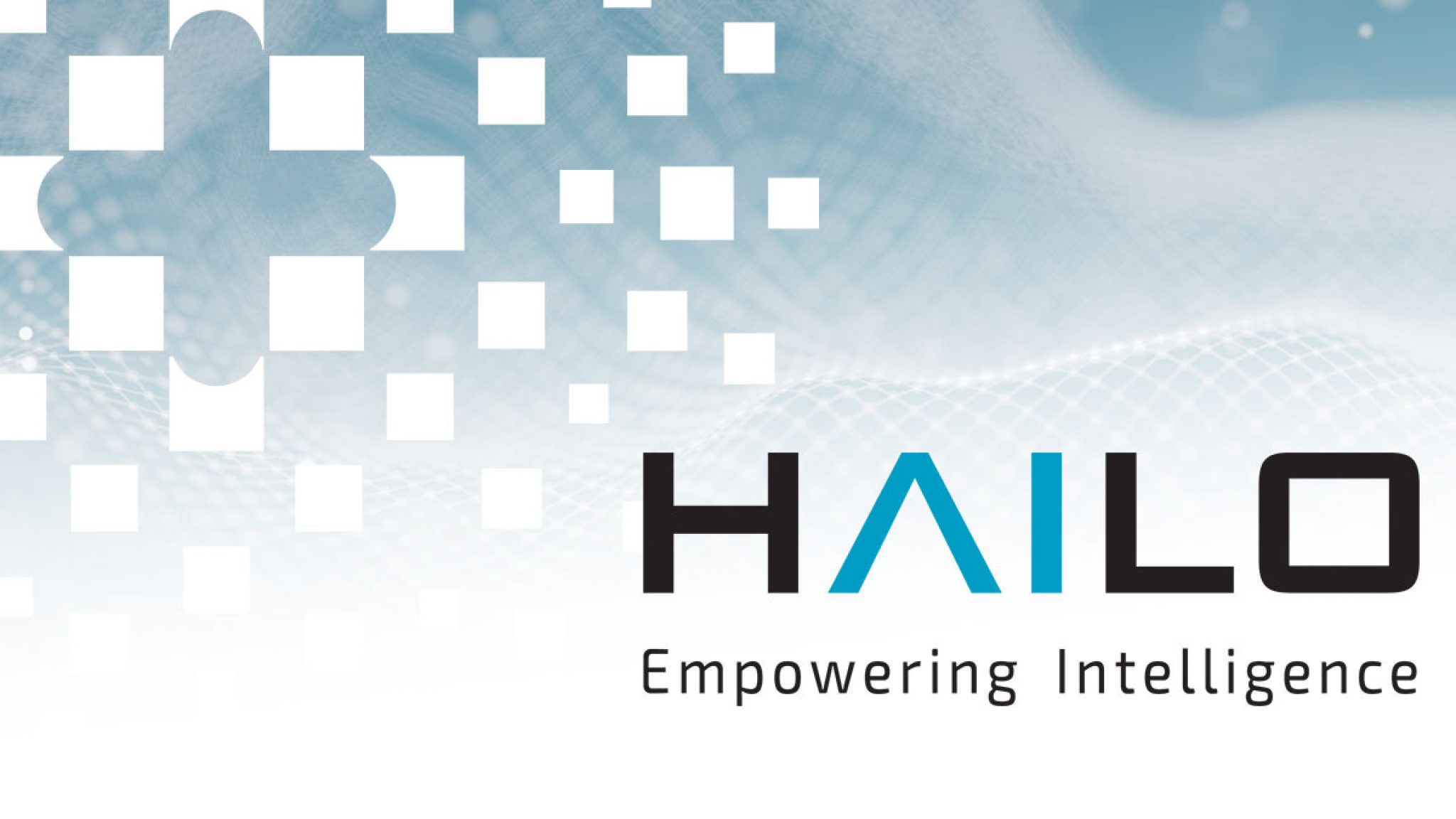 Hailo - Edge AI and Vision Alliance