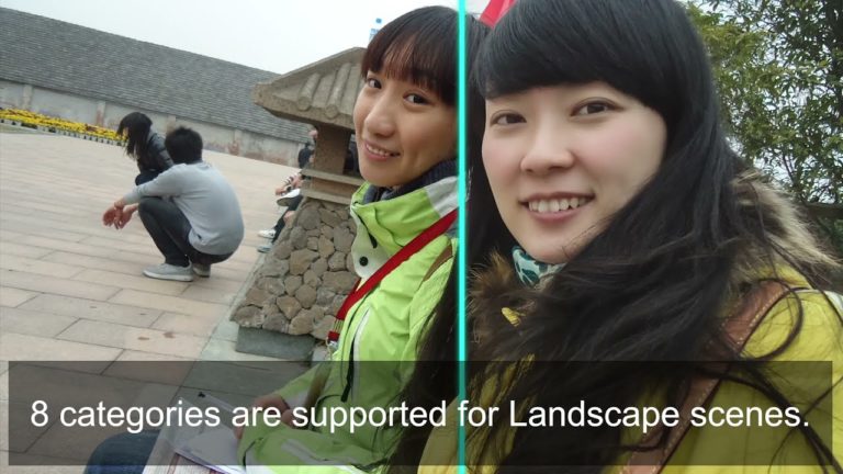 Morpho Demonstration of Image Enhancement by AI-based Segmentation and ...