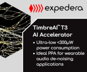 Expedera Artificial Intelligence Accelerator