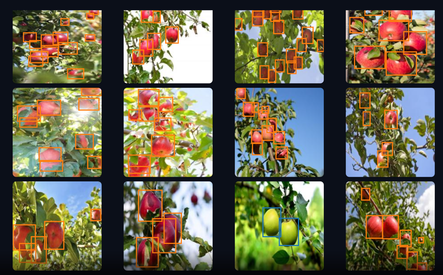 Top 4 Computer Vision Problems & Solutions in Agriculture — Part 1 ...